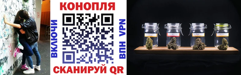 Канабис White Widow  Купить где  Избербаш 